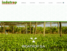 Tablet Screenshot of indatrop.com